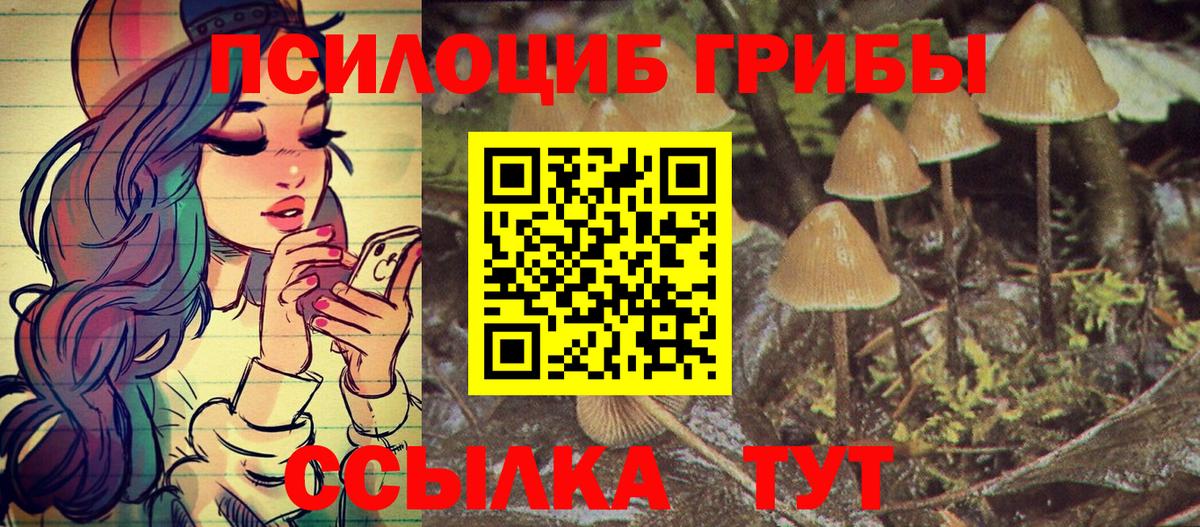 Псилоцибиновые грибы MAGIC MUSHROOMS Нальчик